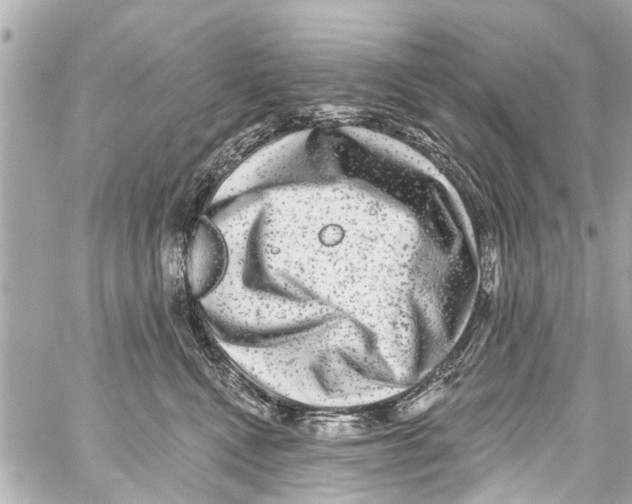 X0000059100472200511041918