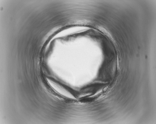 X0000059100483200511041917