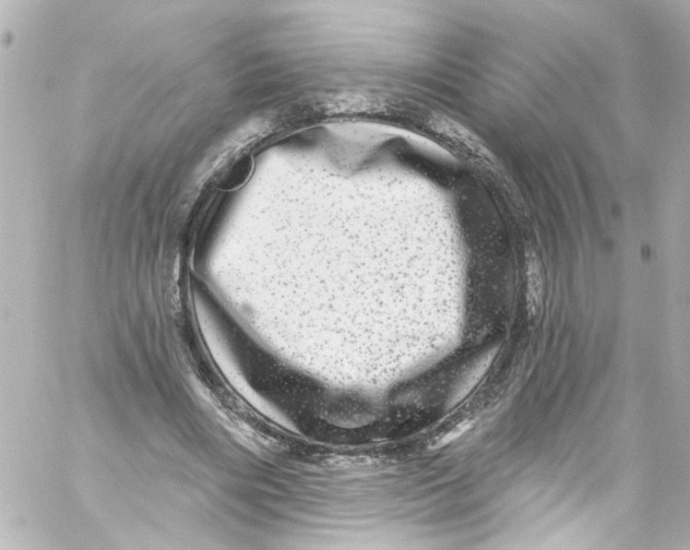 X0000059100490200511041917