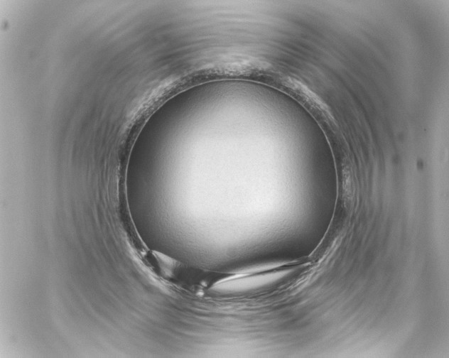 X0000059100493200511041917