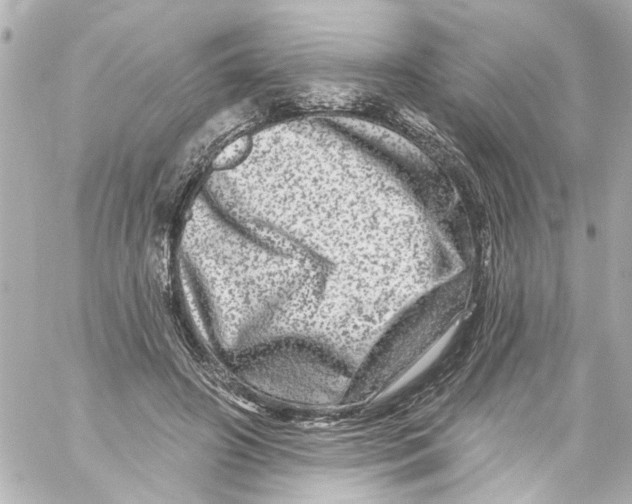 X0000059100498200511041917