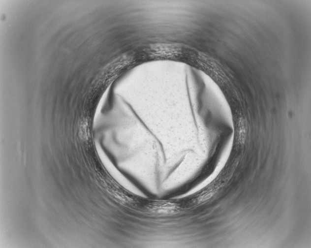 X0000059100514200511041917