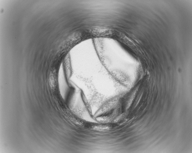 X0000059100515200511041917