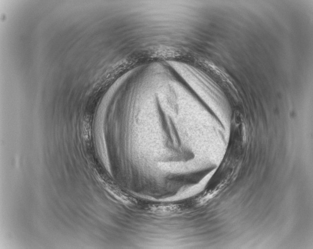 X0000059100517200511041917