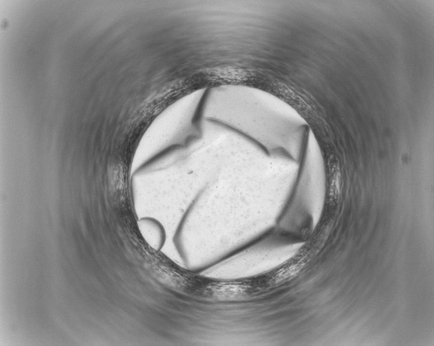 X0000059100518200511041917