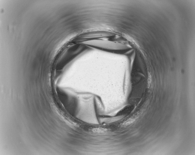 X0000059100535200511041916
