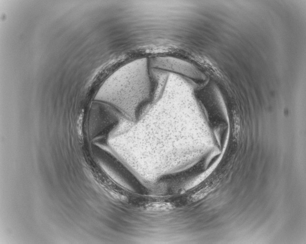 X0000059100543200511041916