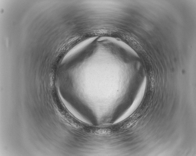 X0000059100546200511041916