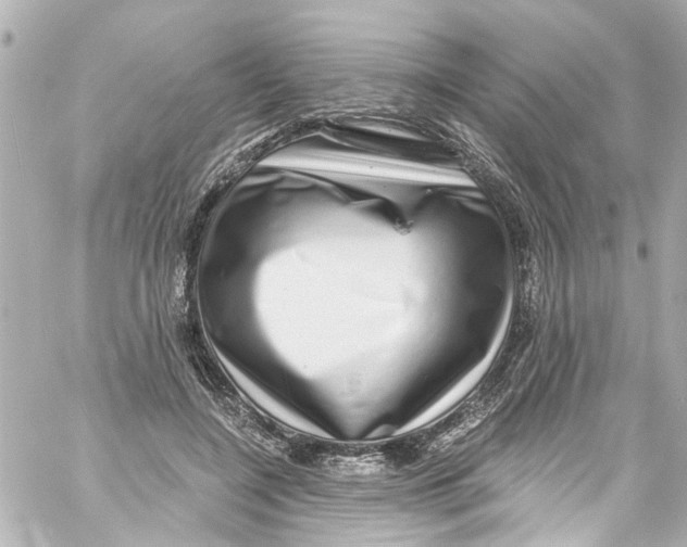 X0000059100548200511041916