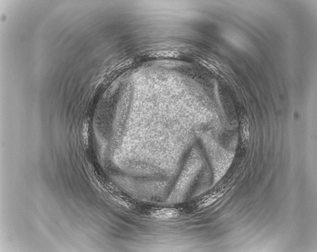 X0000059100551200511041916