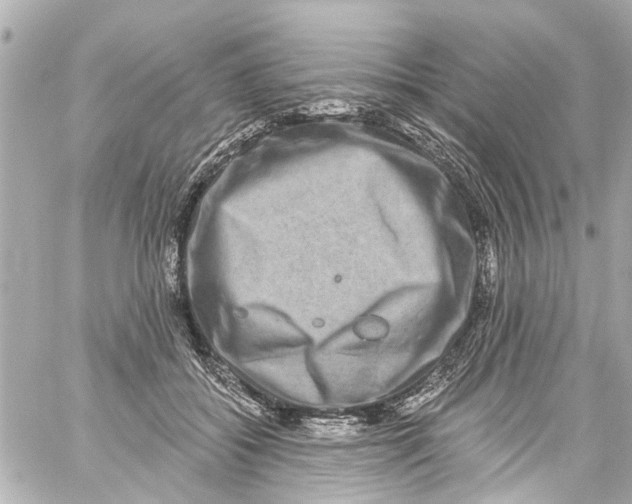 X0000059100556200511041916
