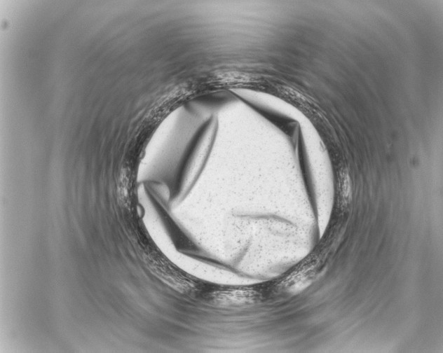 X0000059100567200511041916