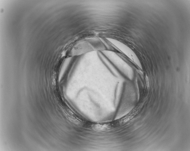 X0000059100570200511041916