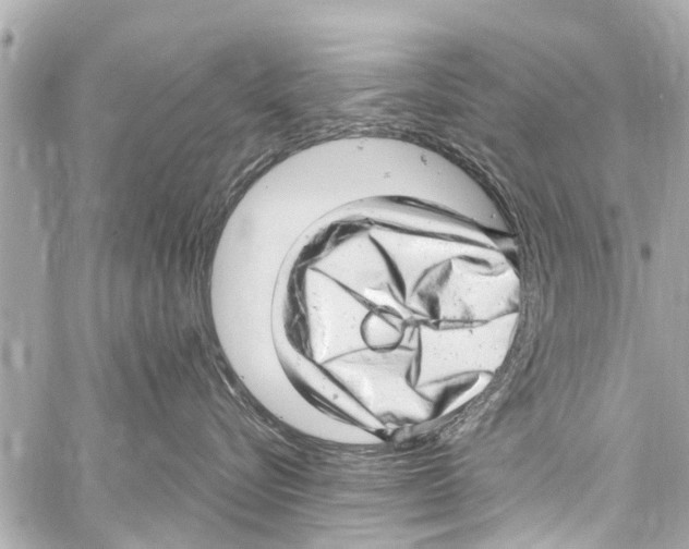 X0000059100576200511041917