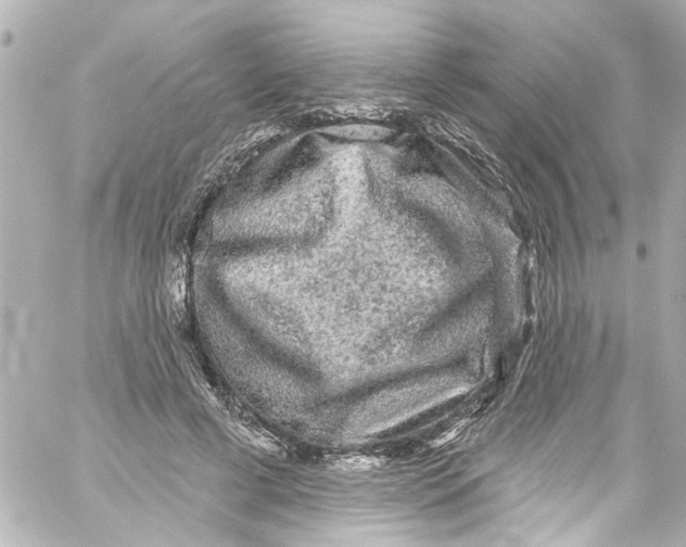 X0000059100593200511041916