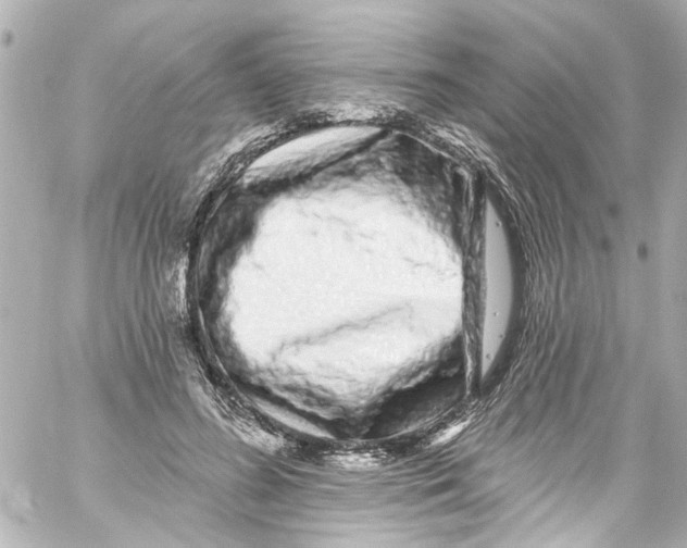 X0000059100596200511041915