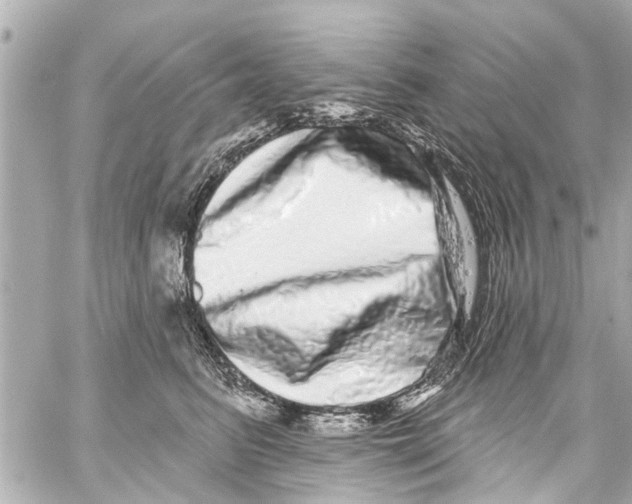 X0000059100615200511041915