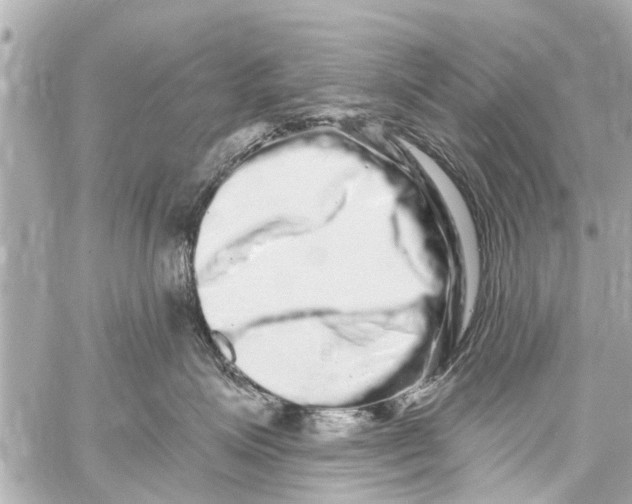 X0000059100623200511041915
