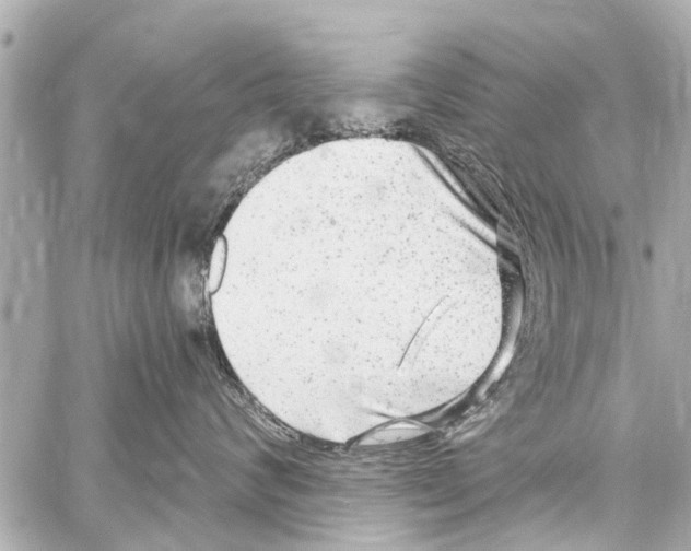 X0000059100624200511041915