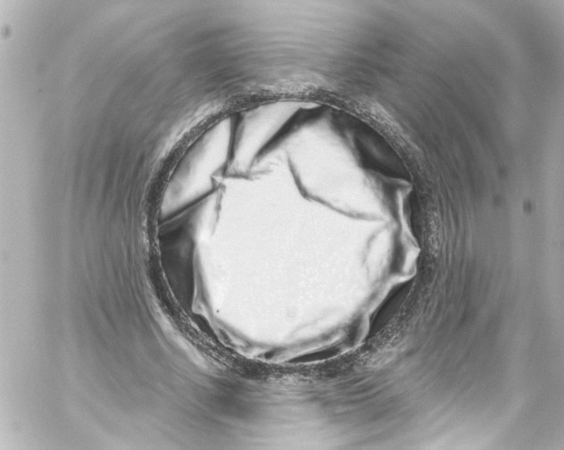 X0000059100634200511041914