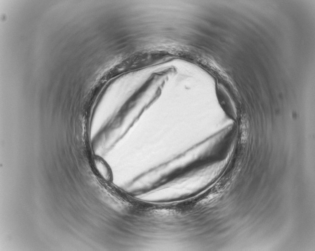 X0000059100637200511041914