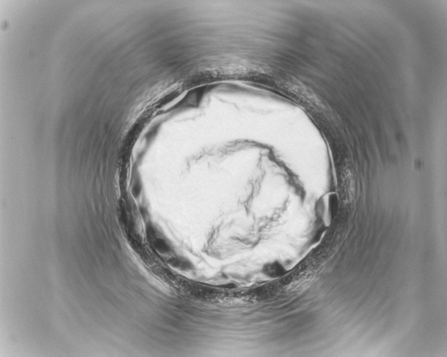 X0000059100638200511041914