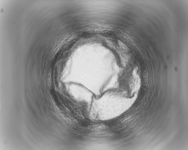 X0000059100642200511041914