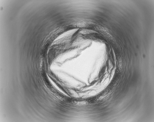 X0000059100645200511041915