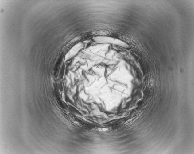 X0000059100647200511041915