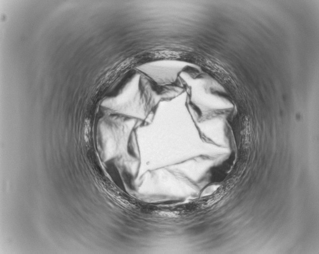 X0000059100649200511041915