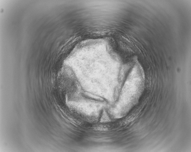 X0000059100656200511041915