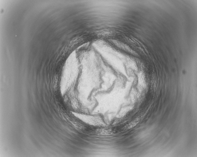 X0000059100660200511041915