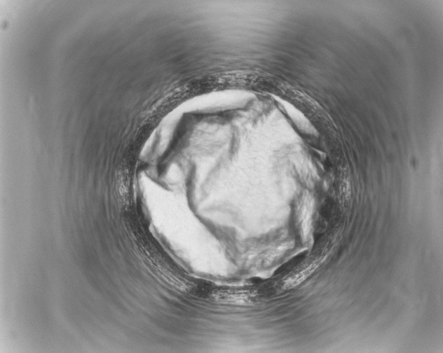 X0000059100661200511041915