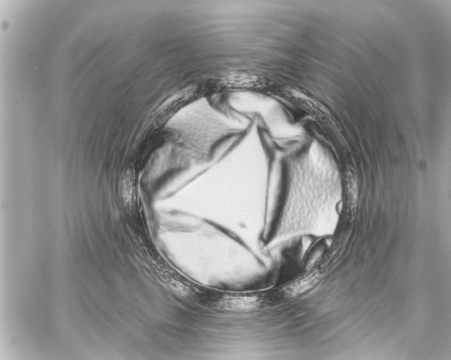 X0000059100665200511041915