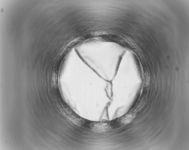 X0000059100669200511041915