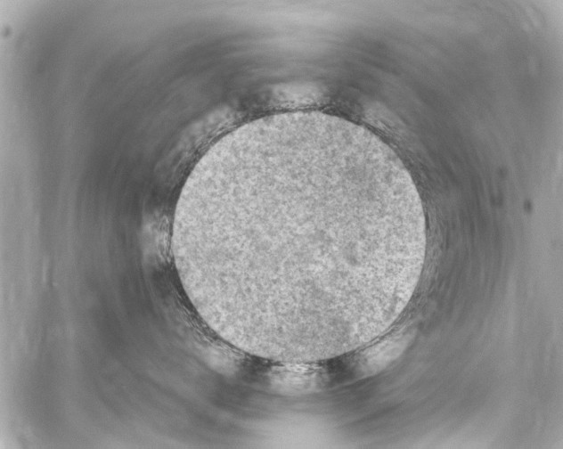 X0000059100672200511041915