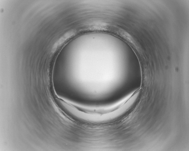 X0000059100677200511041914
