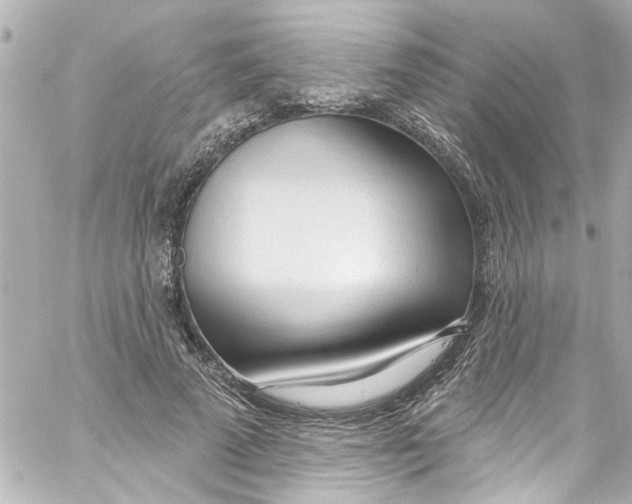 X0000059100689200511041914