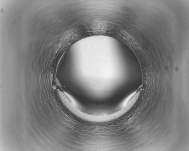 X0000059100697200511041914