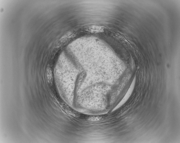 X0000059100704200511041914