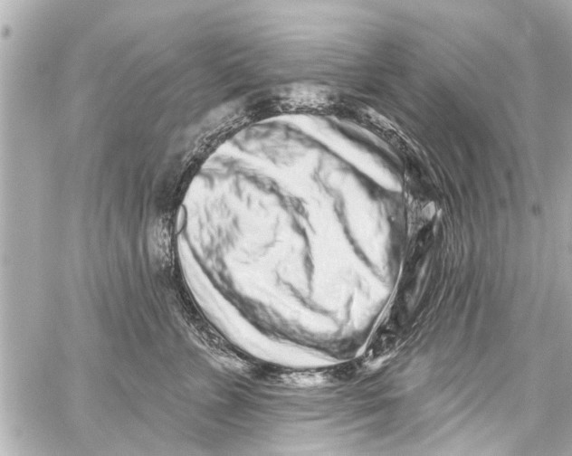 X0000059100715200511041913