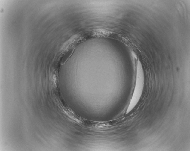 X0000059100716200511041913
