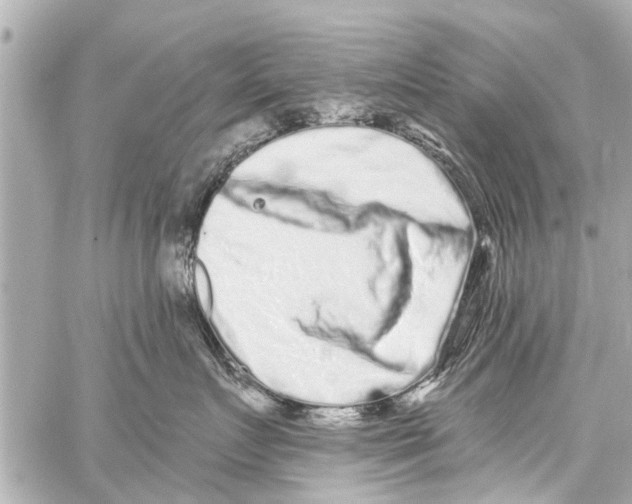 X0000059100719200511041913