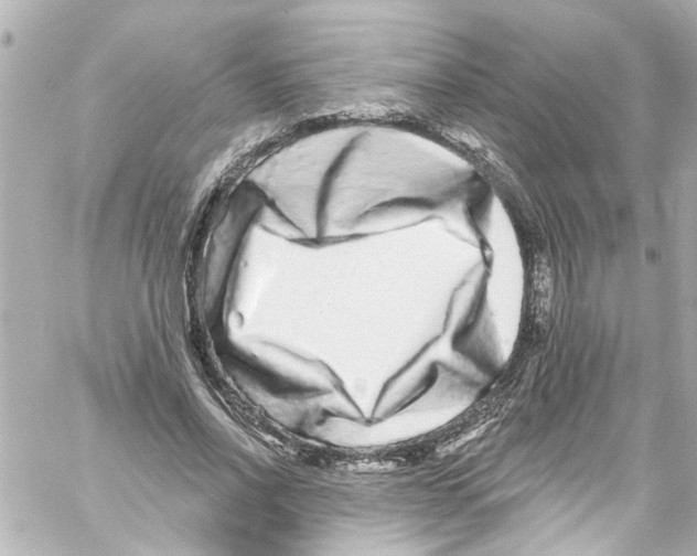 X0000059100734200511041913