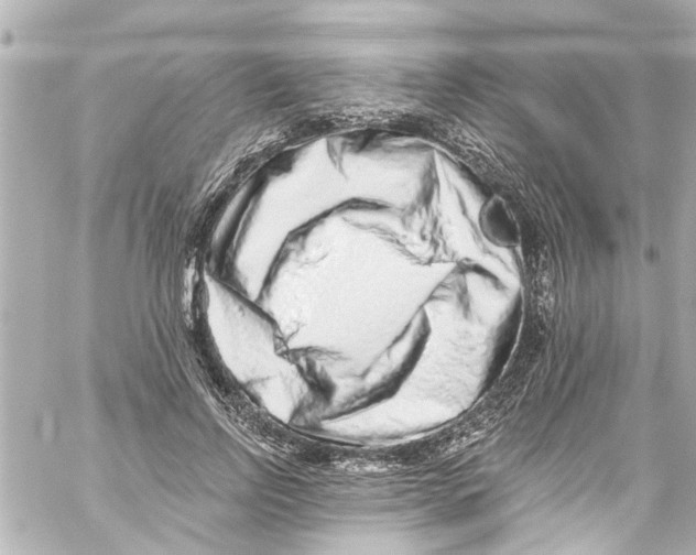 X0000059100742200511041913