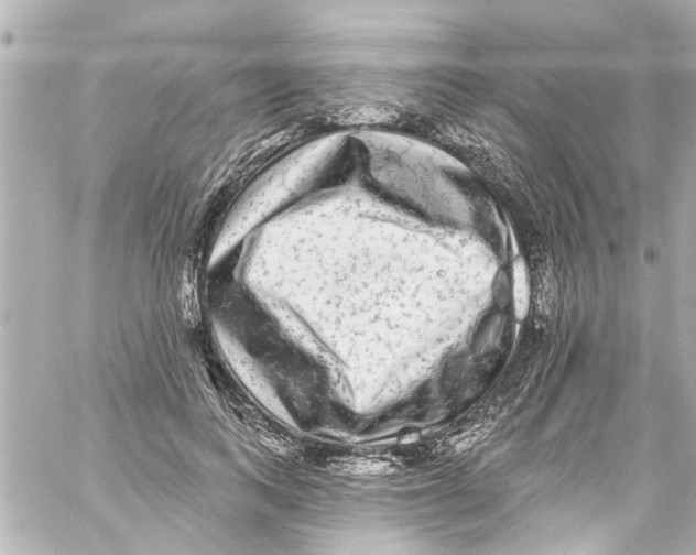 X0000059100743200511041913