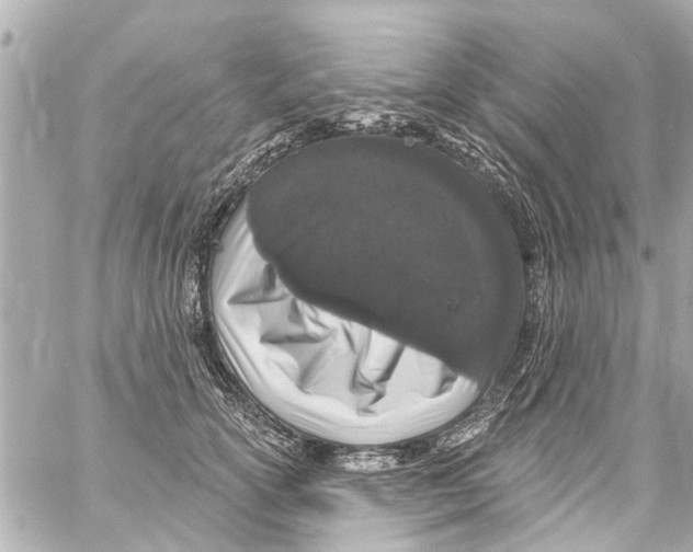 X0000059100754200511041913