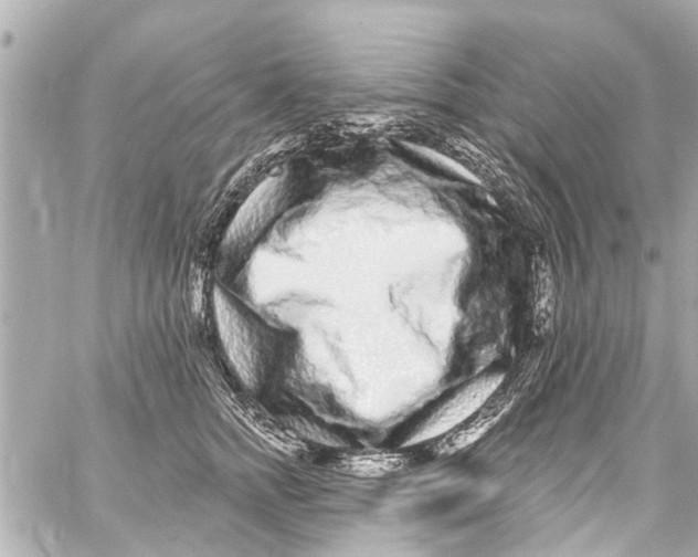 X0000059100758200511041913