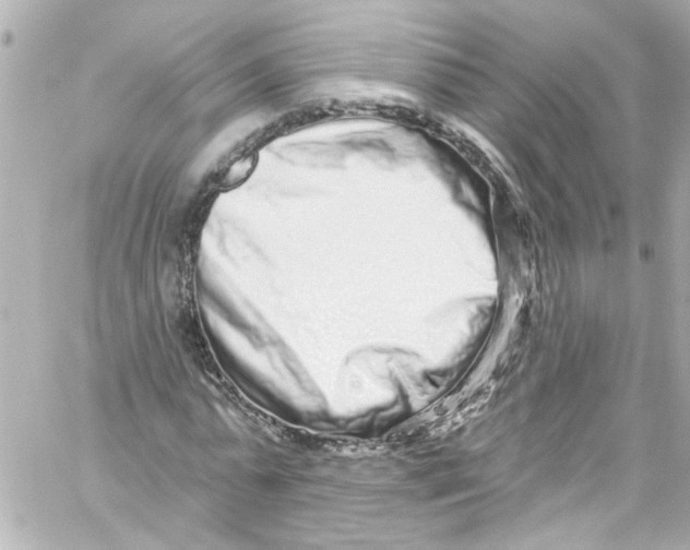 X0000059100775200511041912