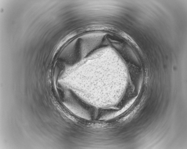 X0000059100786200511041912
